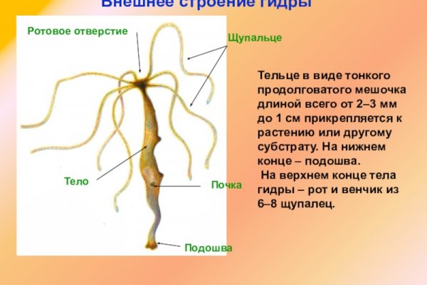 Кракен телеграм каналы